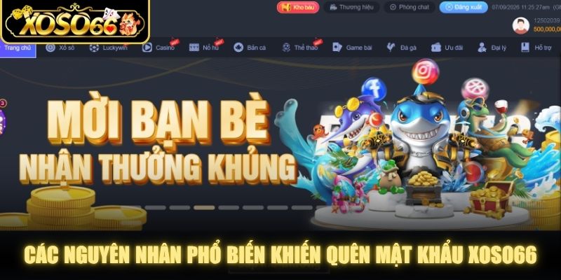 Các nguyên nhân phổ biến khiến người chơi quên mật khẩu XOSO66
